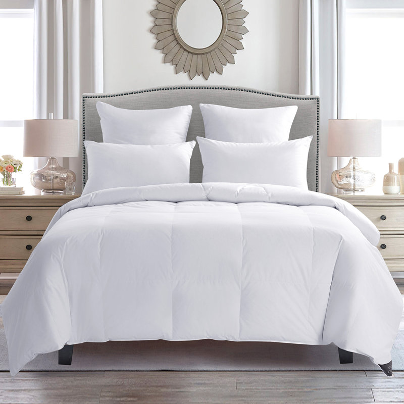 Puredown All Seasons Down Comforter & Reviews Wayfair
